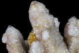 Cactus Quartz (Amethyst) Cluster - South Africa #115128-1